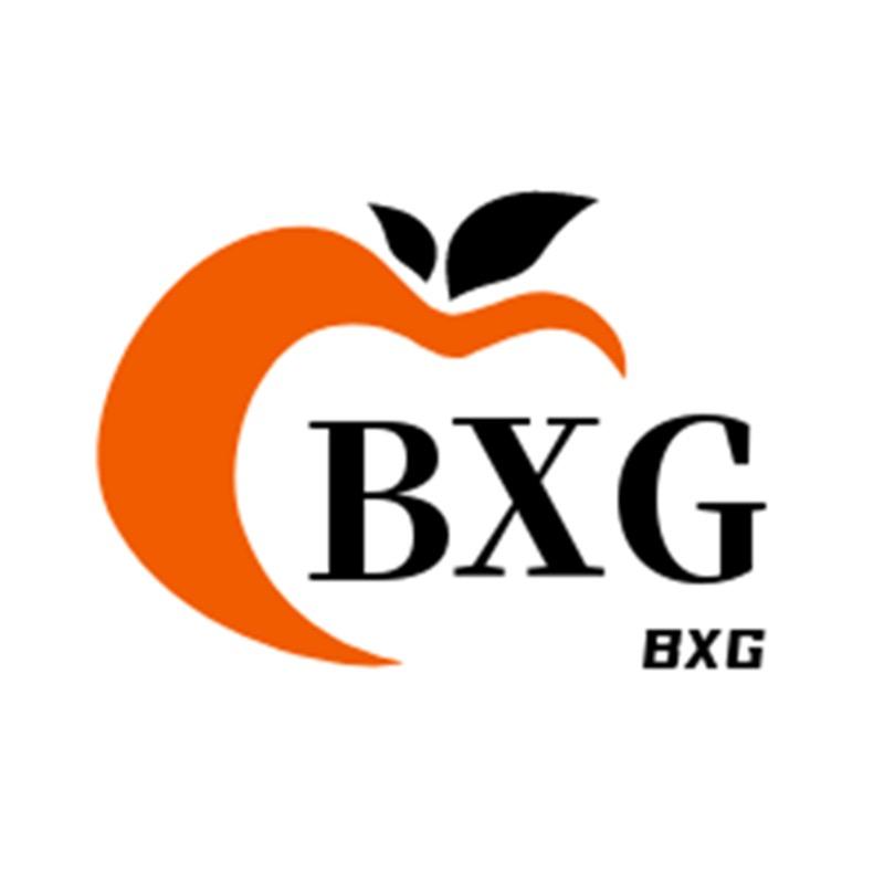 BXG休闲裤