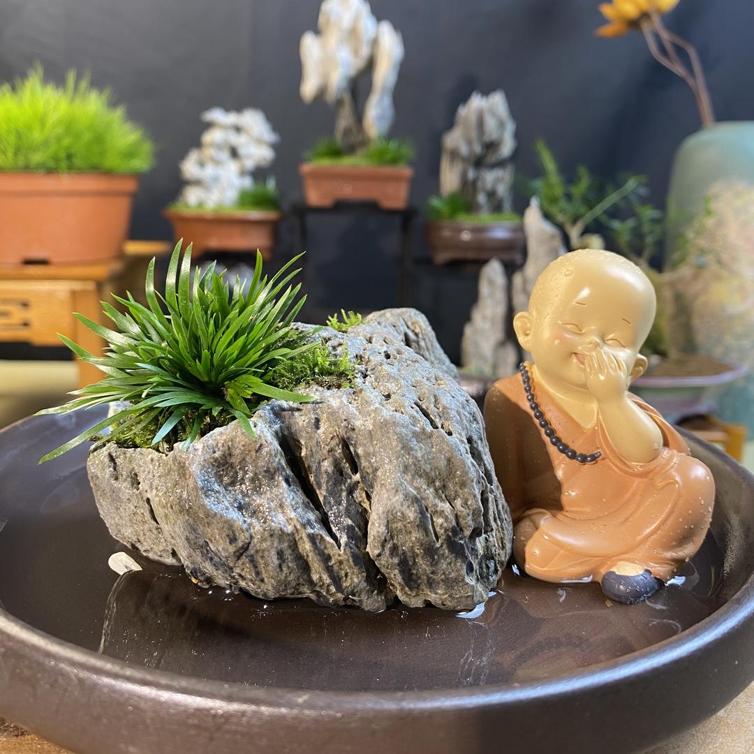 英石雅韵盆景馆