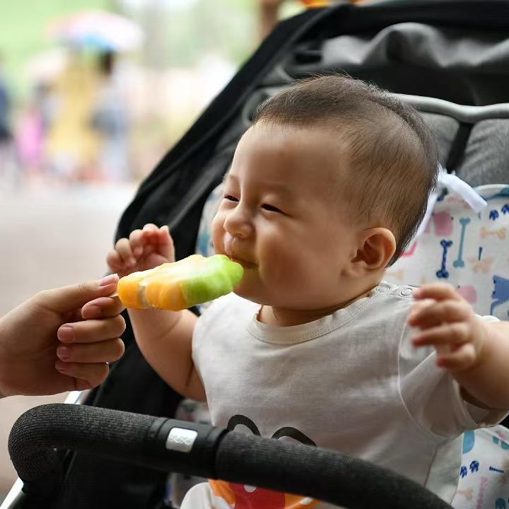 鲸鱼的鱼