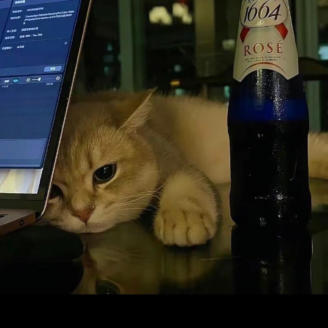 小z