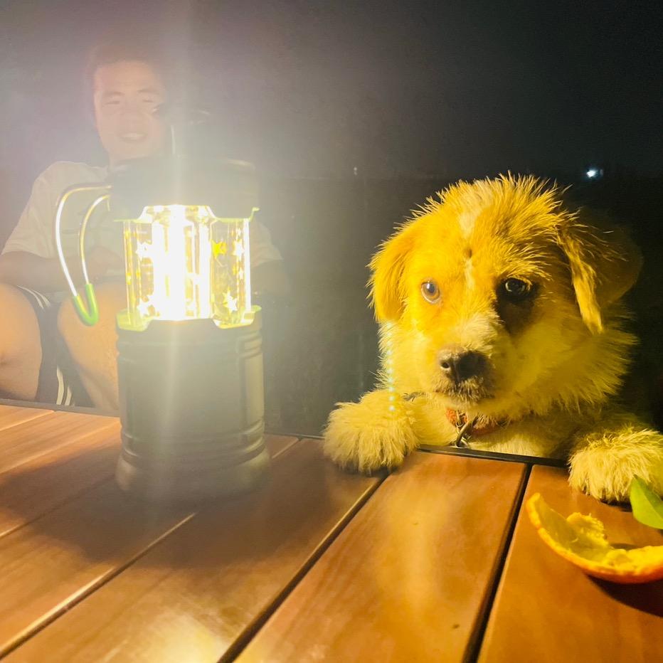 小乐小乐你要快乐