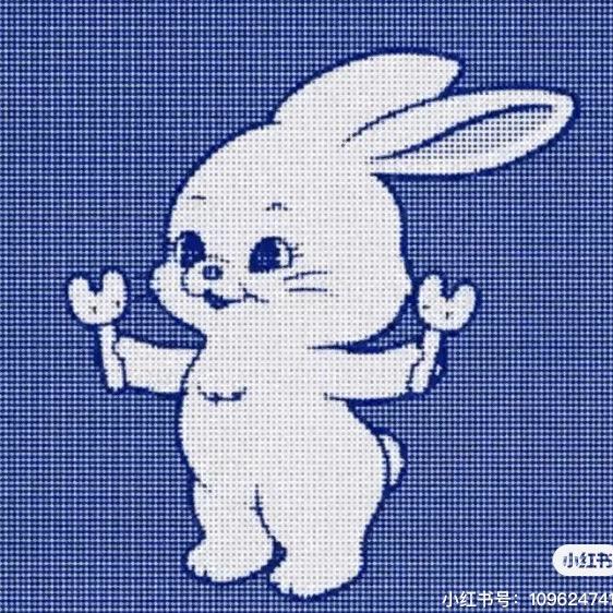 柳决决