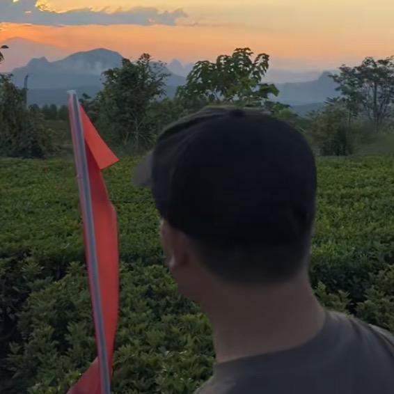 卡尔文