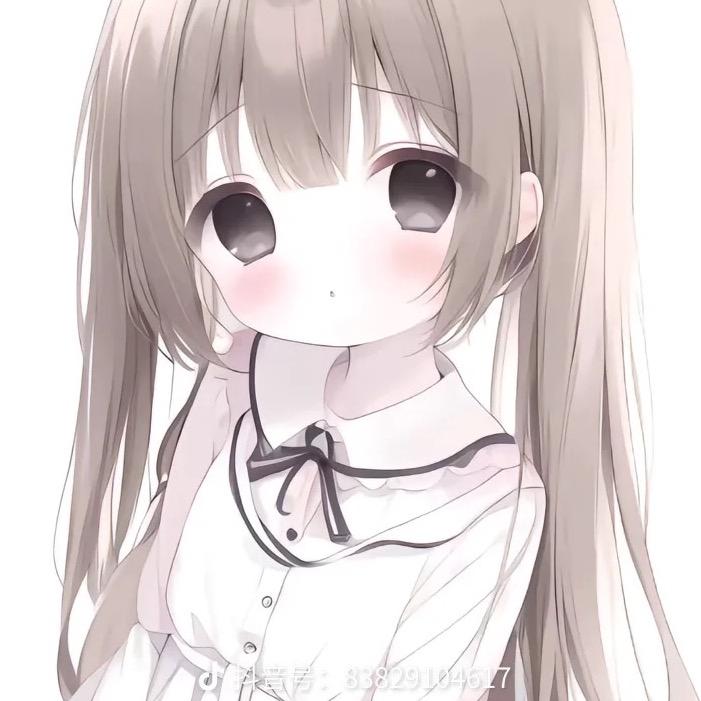 小猫宝宝