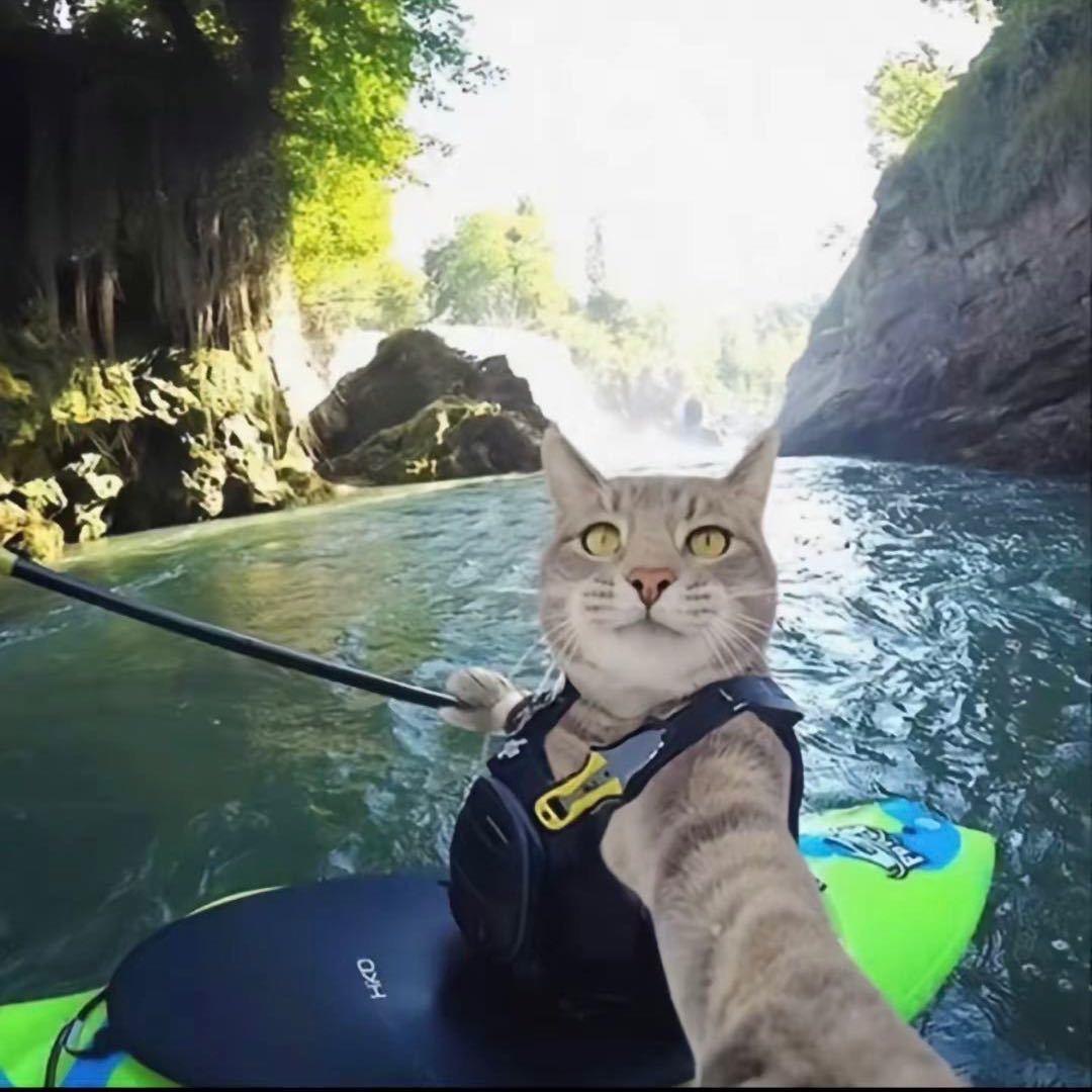 十三🕶️