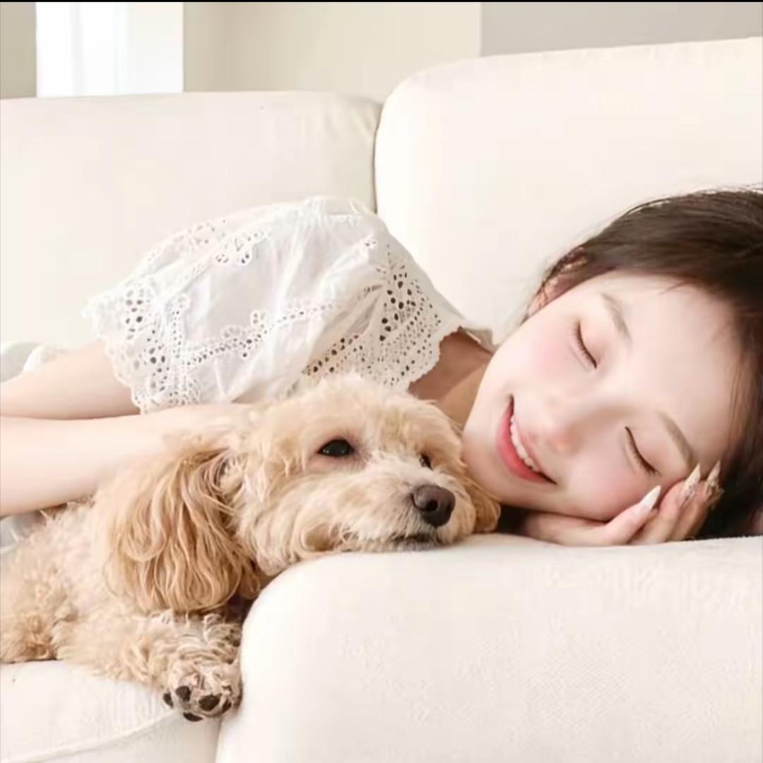 ︋︋︋︋︋   ㅤ ㅤㅤㅤㅤ