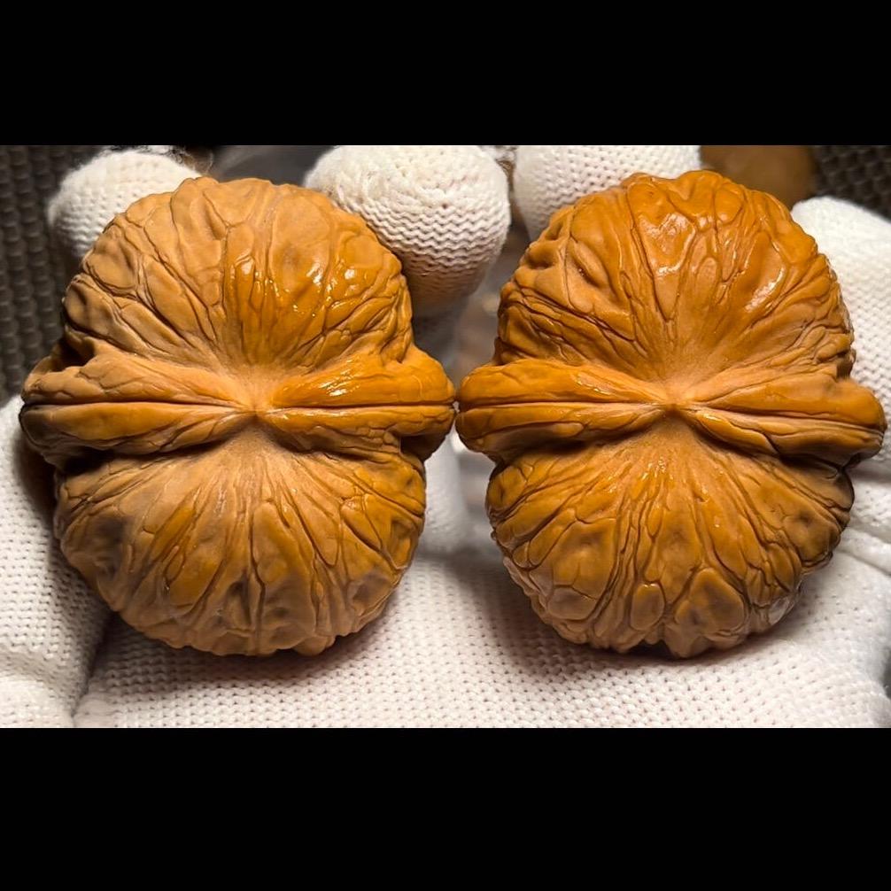 桐美文玩核桃