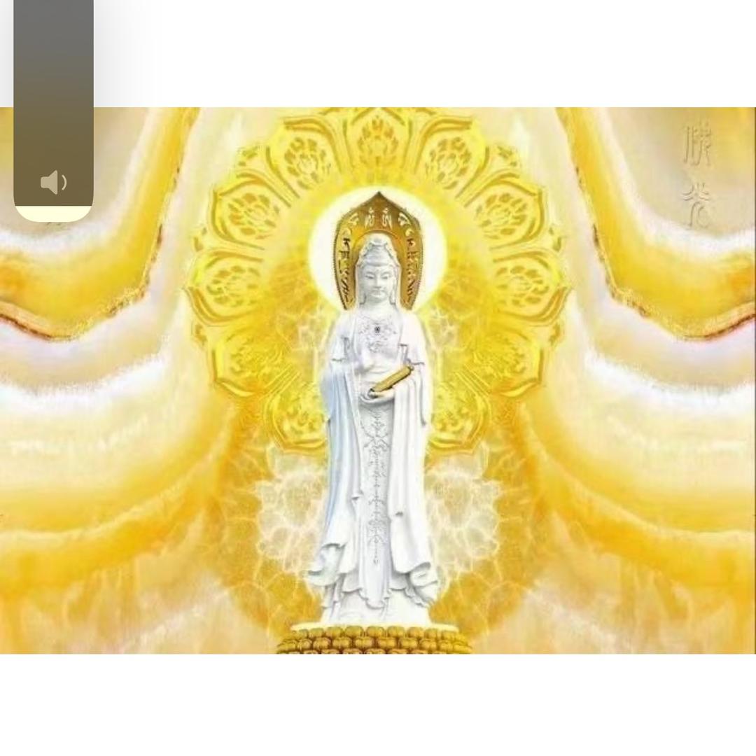 静海任姐