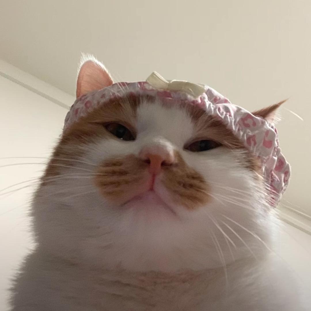 绵绵^^