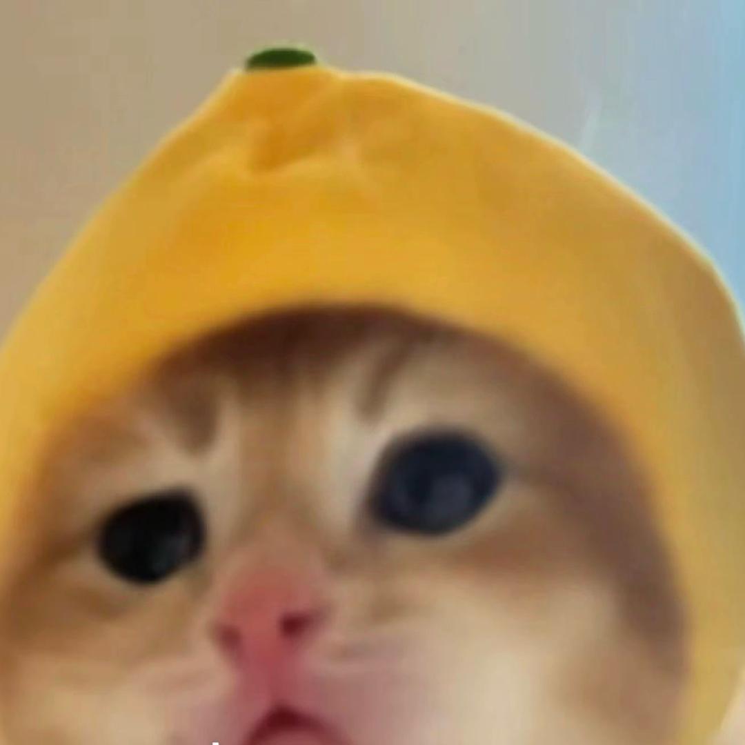 眉贩闹