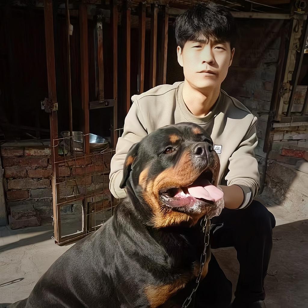 德系罗威纳犬舍