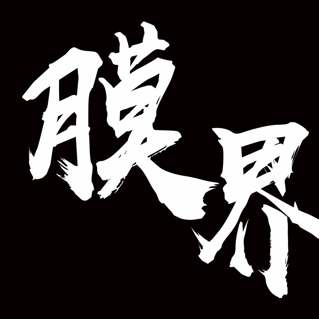 淄博膜界汽车服务有限公司