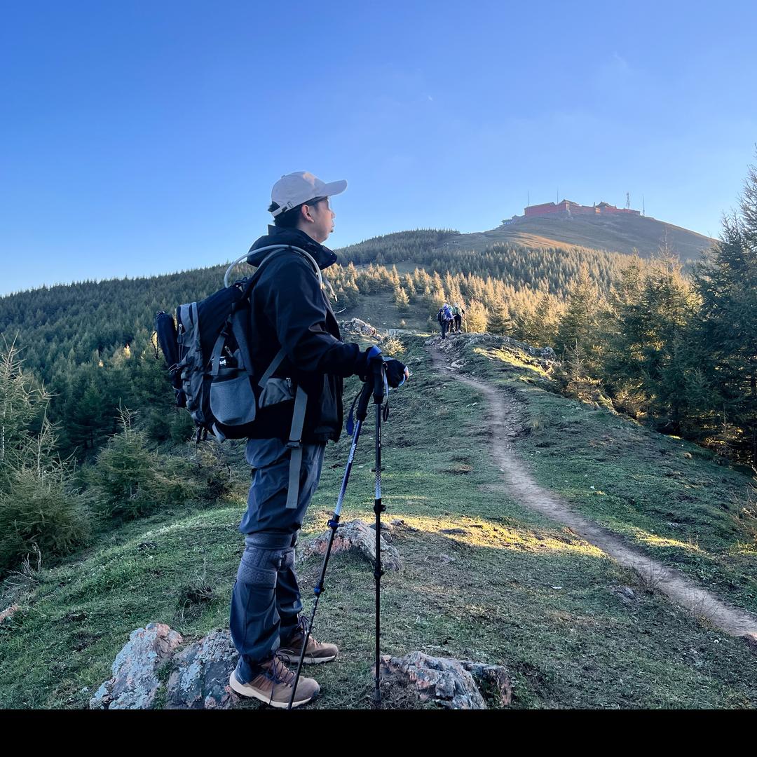 唔哈哈哈（我自向山⛰️）