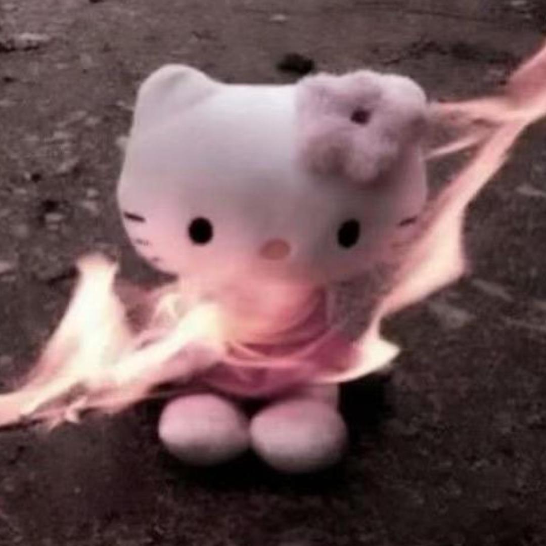 Neko_wan