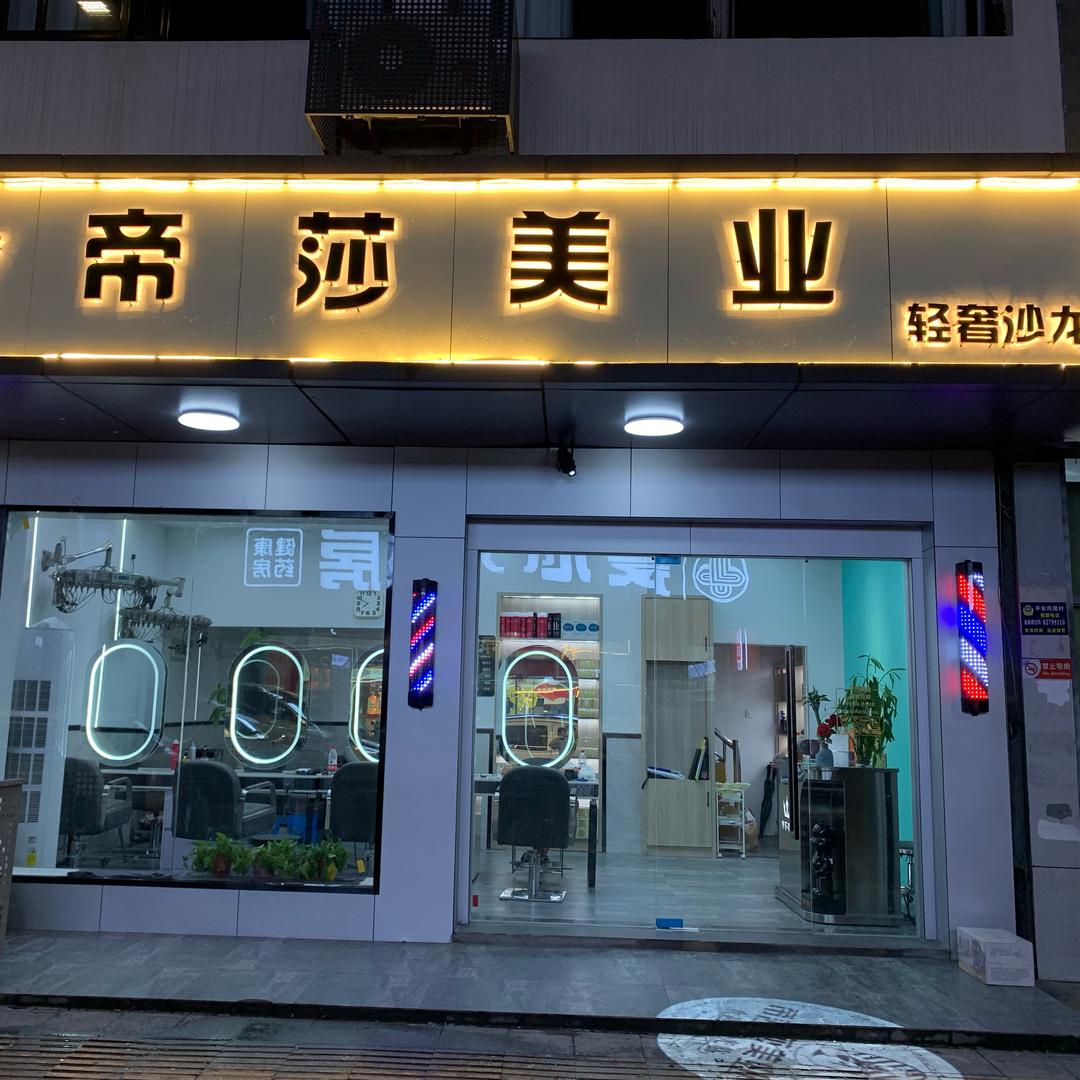 帝莎美业