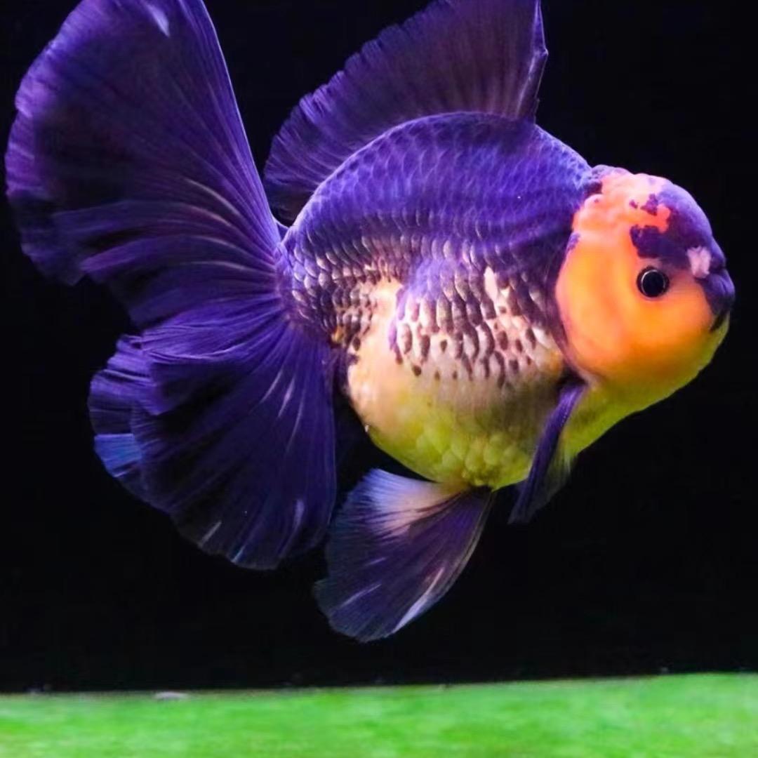 华欣渔场水族馆