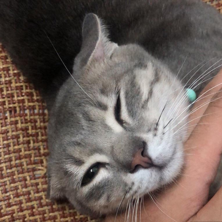 感觉没睡醒