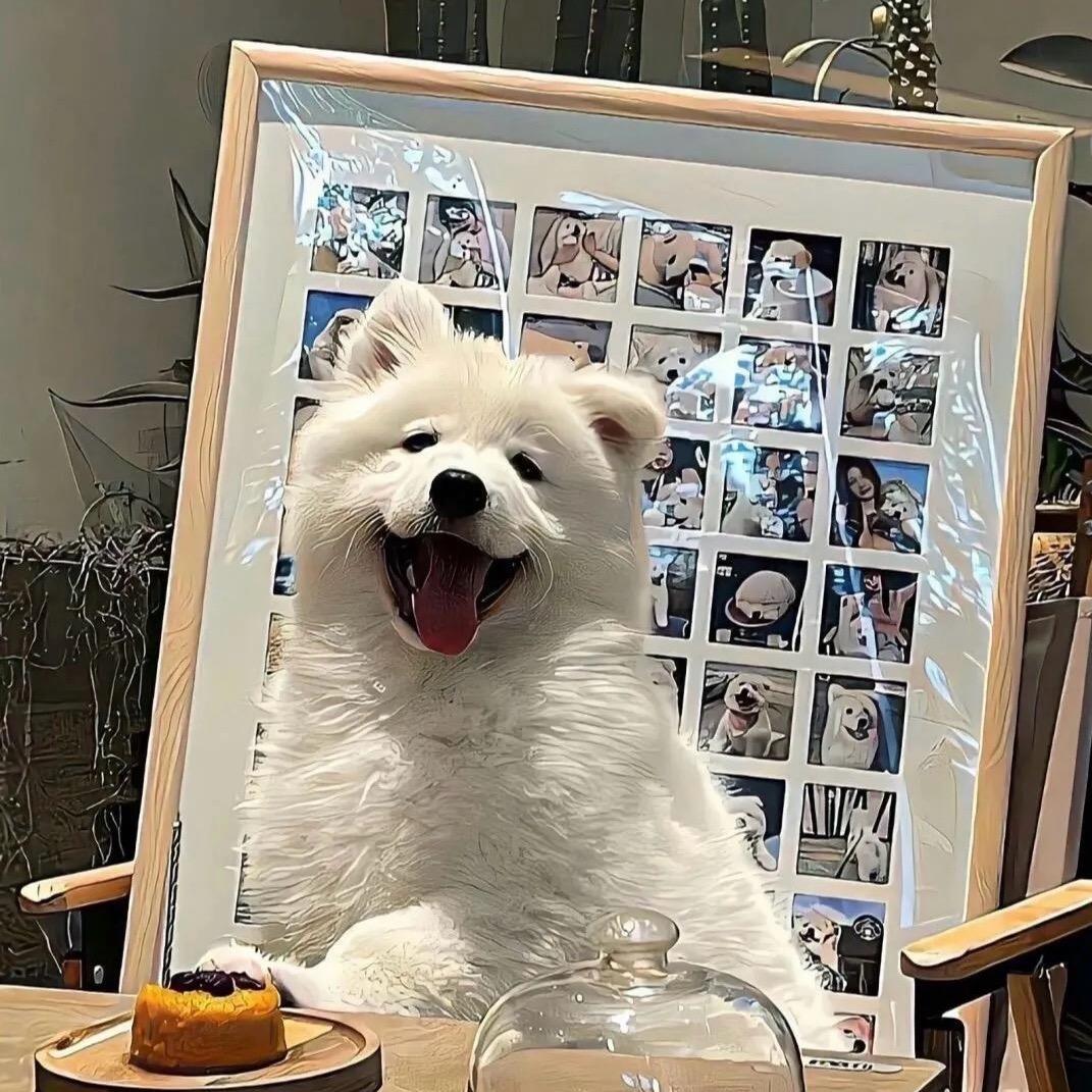 想看海🫥