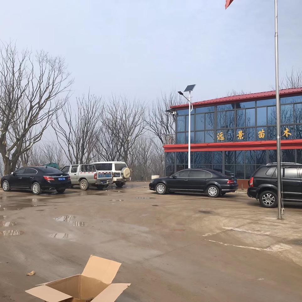 明光市众金苗木种植园