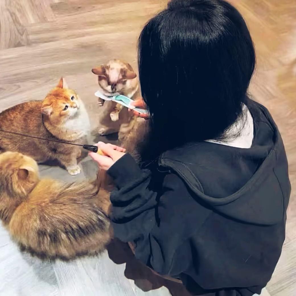 思月