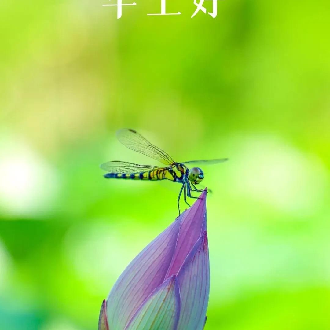 凡尘俗子