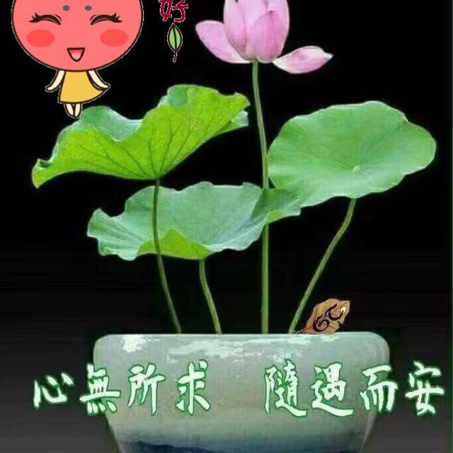 米姐