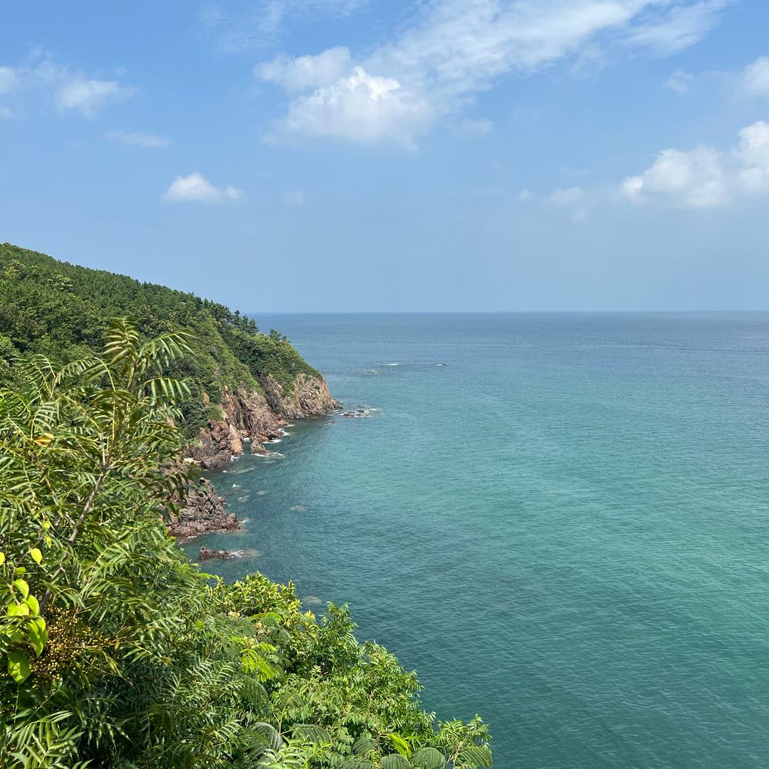 盼盼(短视频分享）