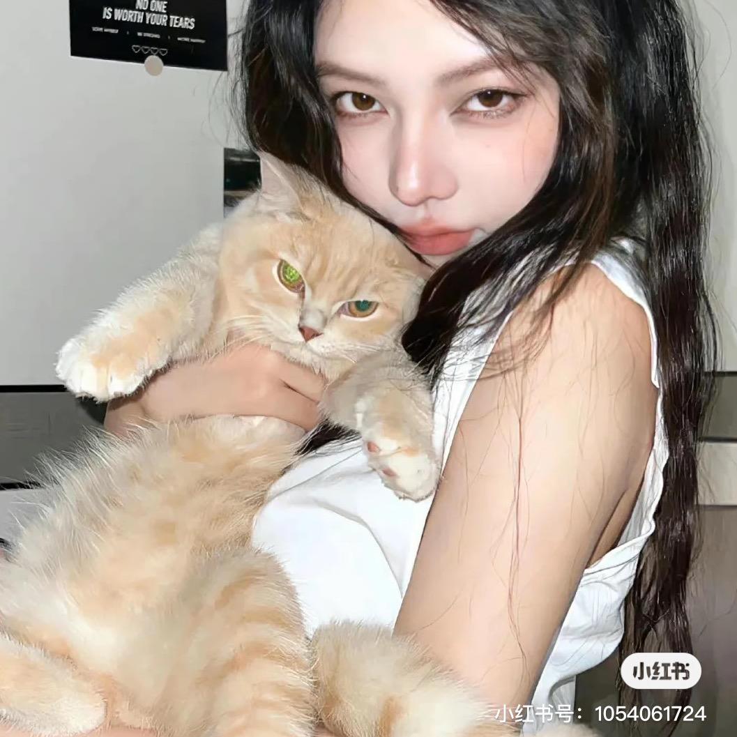 嗖一下就睡着了