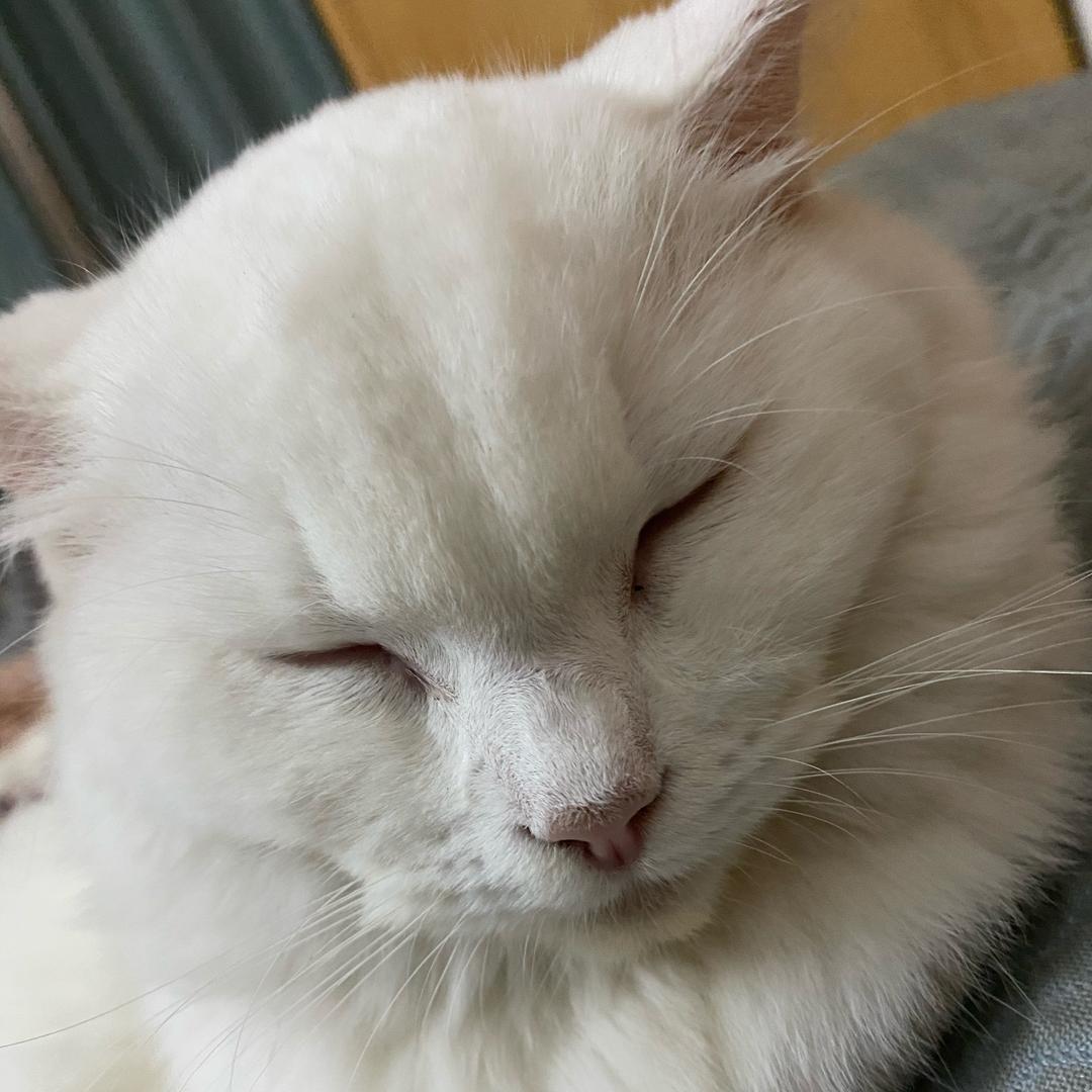 大洞