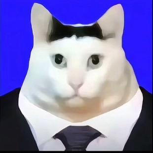 zyh