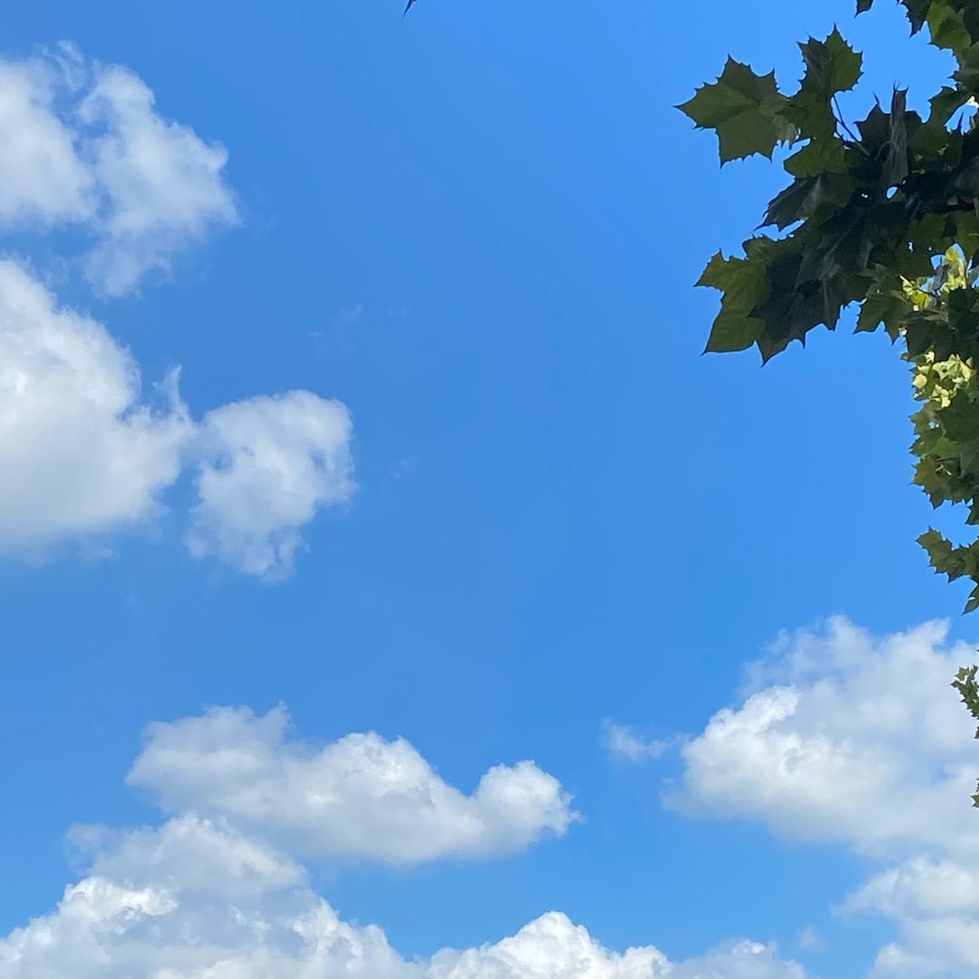 小蜜蜂🐝
