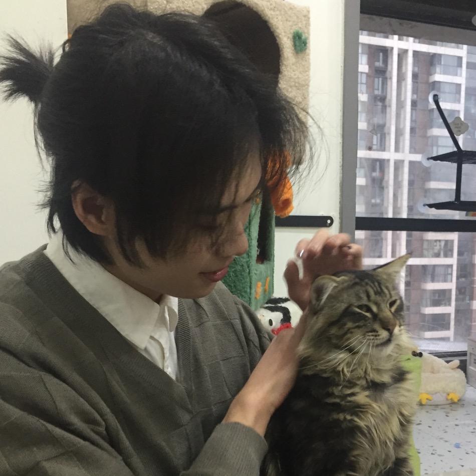 心愿看房
