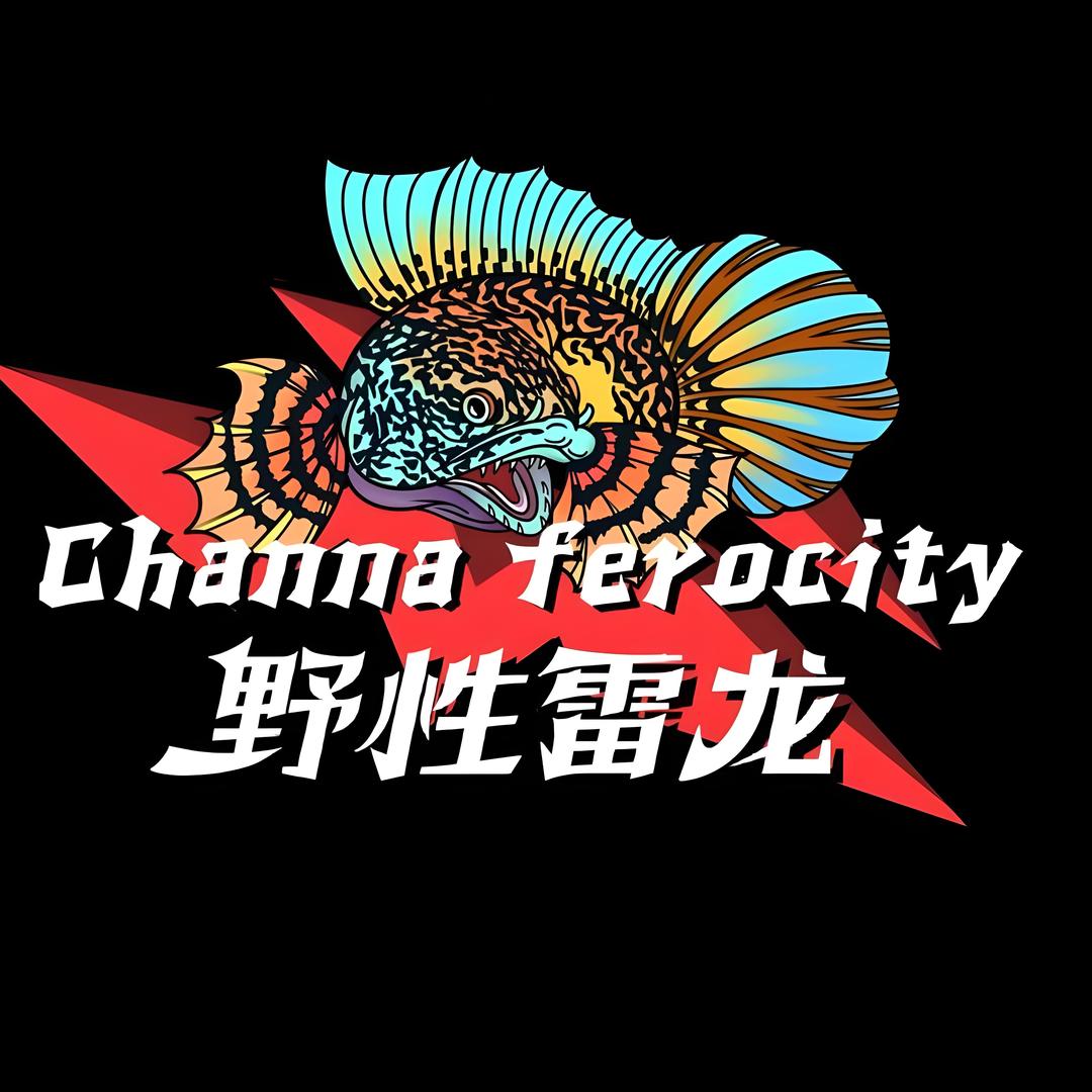 野性雷龙