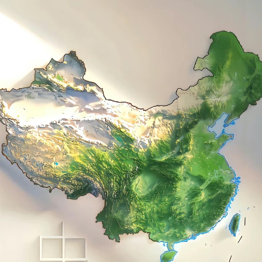 包菜