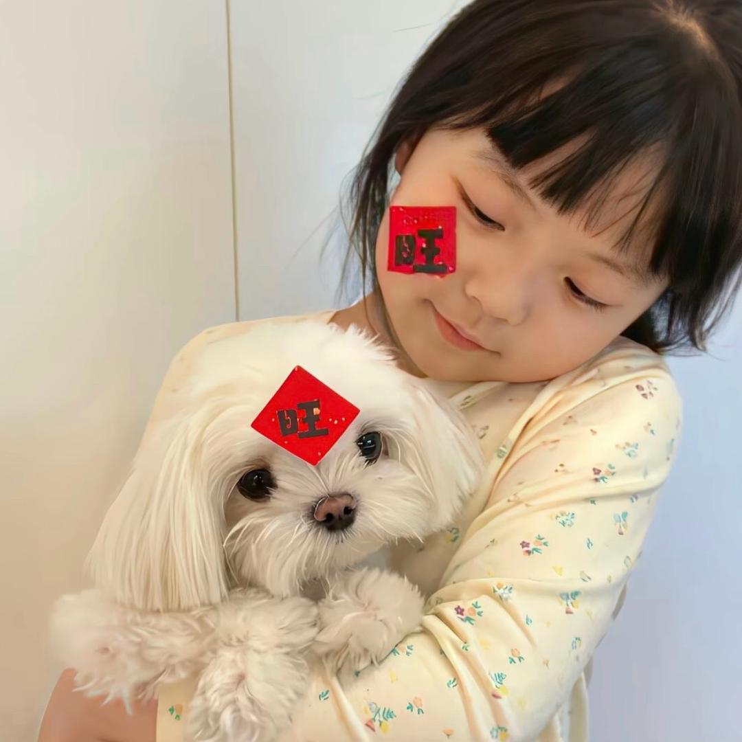 蛋黄舒