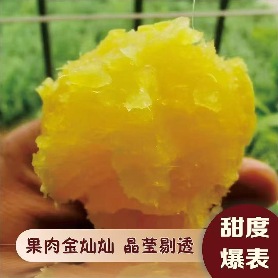 山村薯农