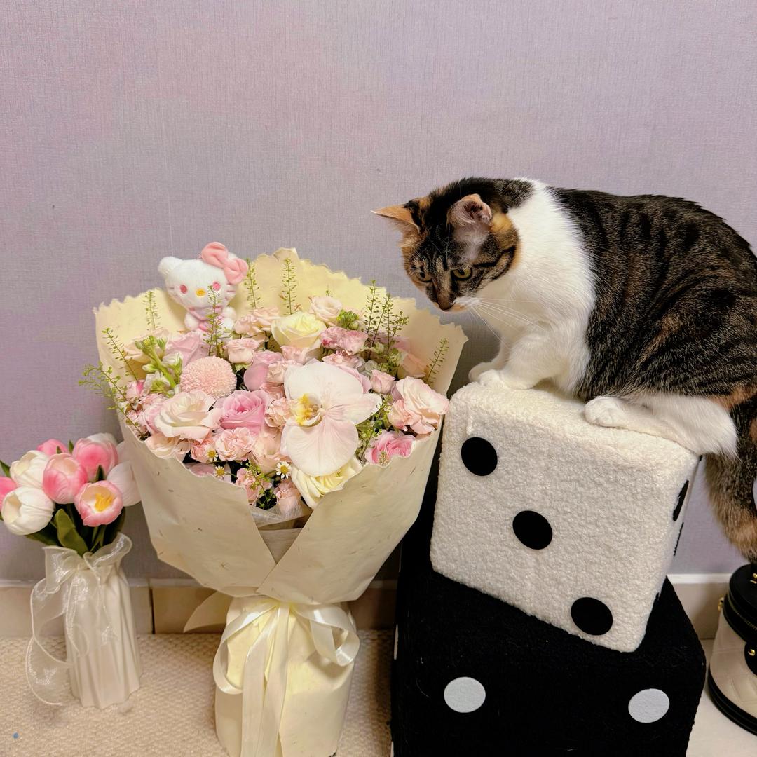 木木女装(工厂店)