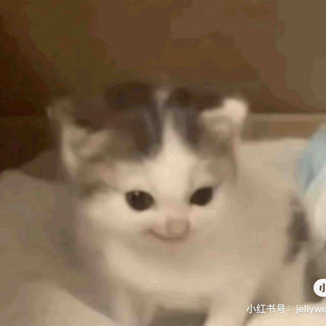 熊咆龙吟殷岩泉