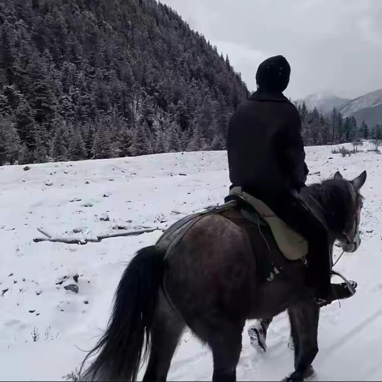 桀骜不驯