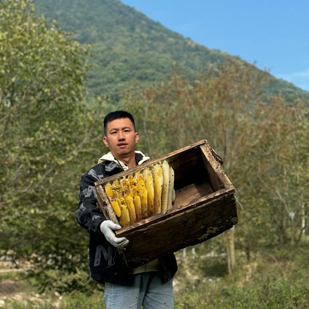 阿福诱蜂养蜂分享