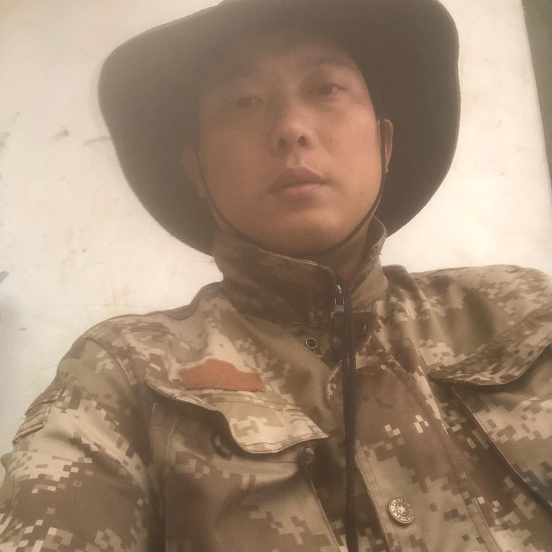 孤独的流浪
