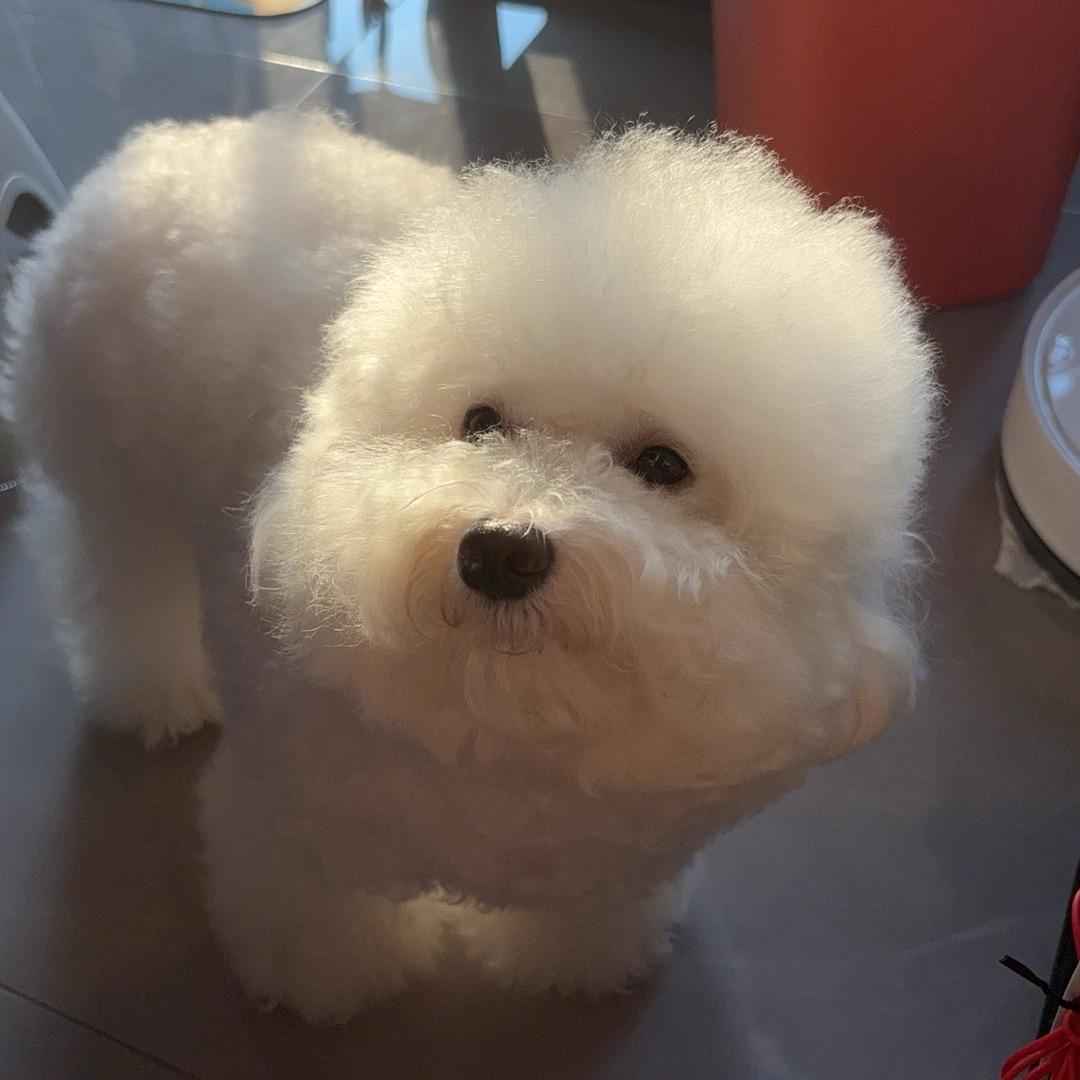 椰树椰汁QAQ