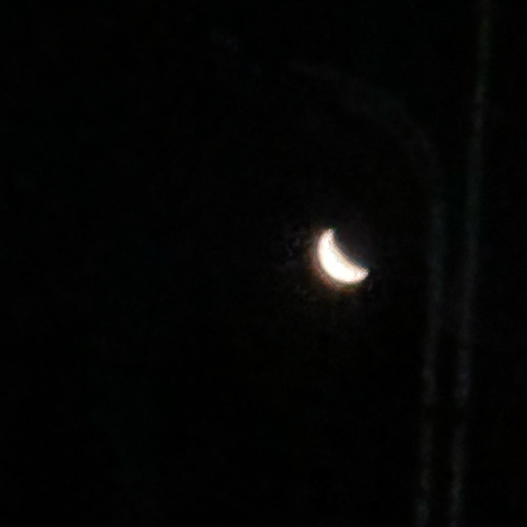 水果森林大满贯