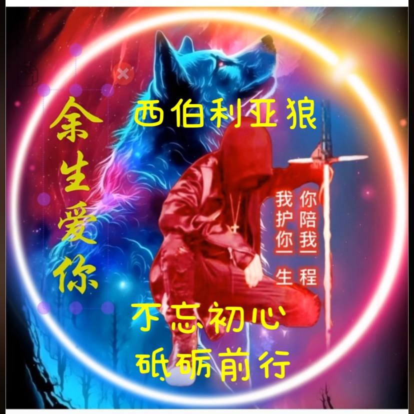 🚀西伯利亚狼🚀