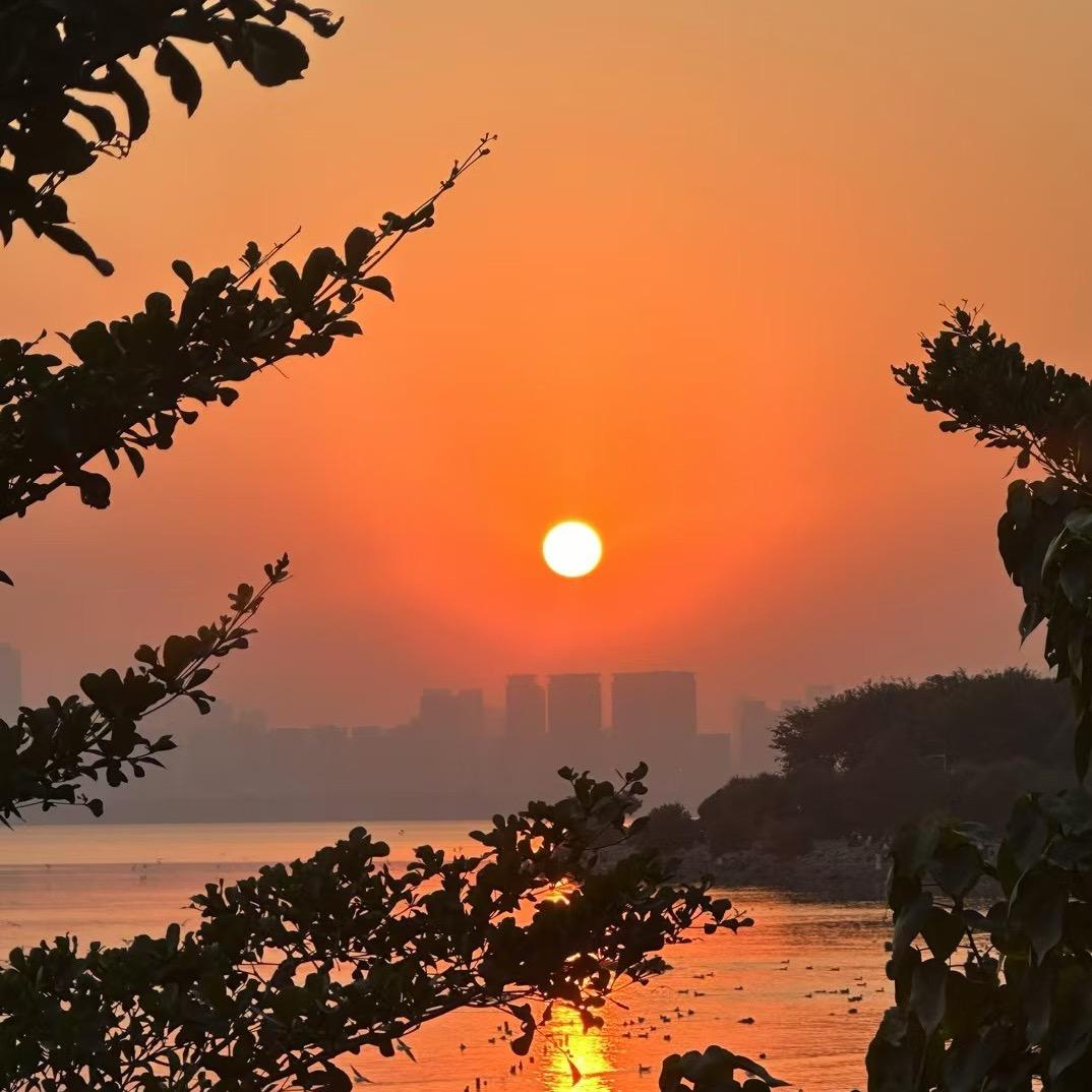 💓💓爱小圆圆