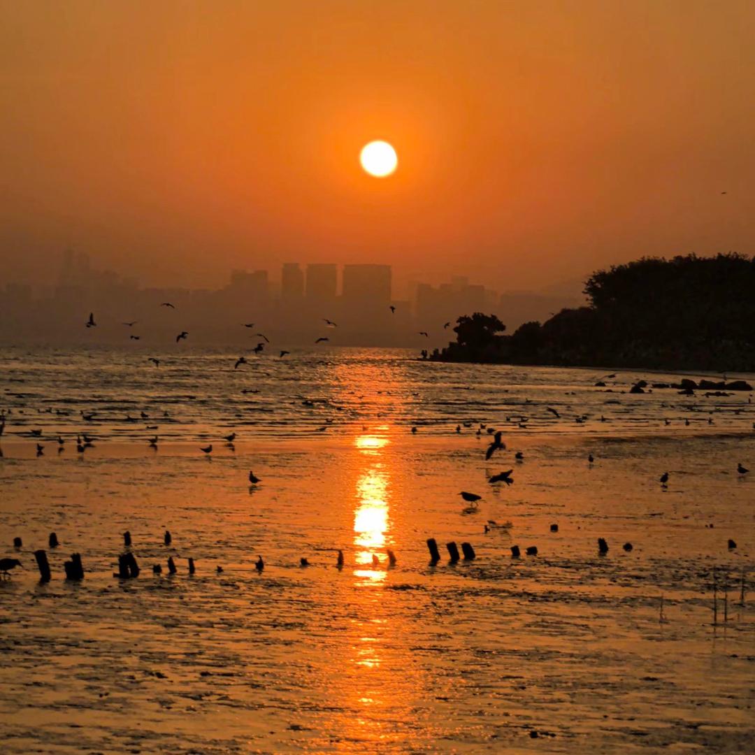 等、跨境资源、工厂！！