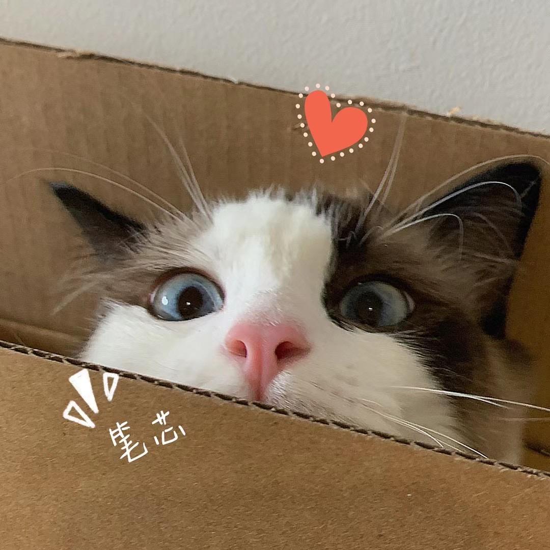 Easonchan