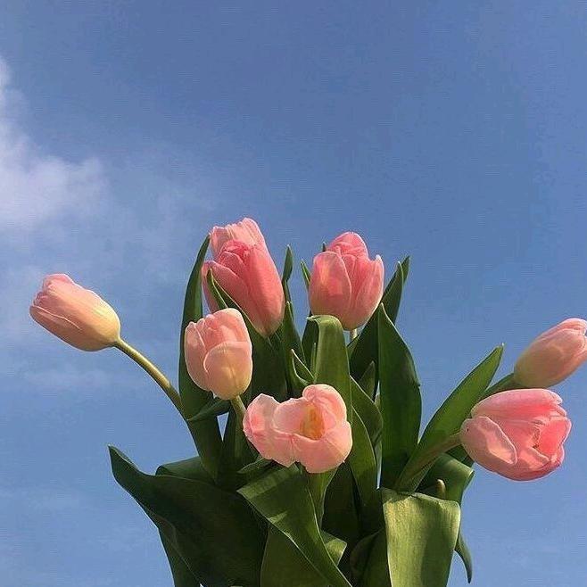 只愿你好