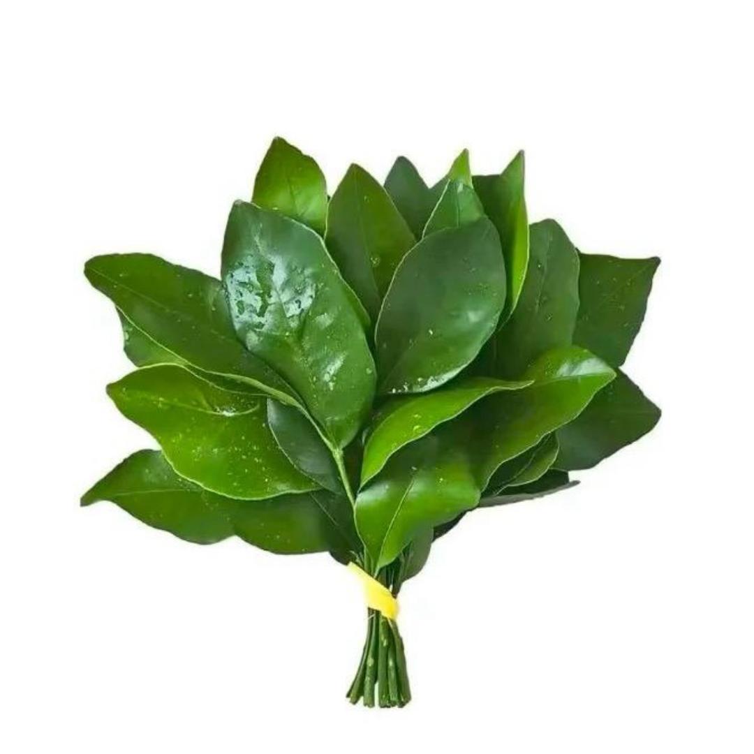 大美丽