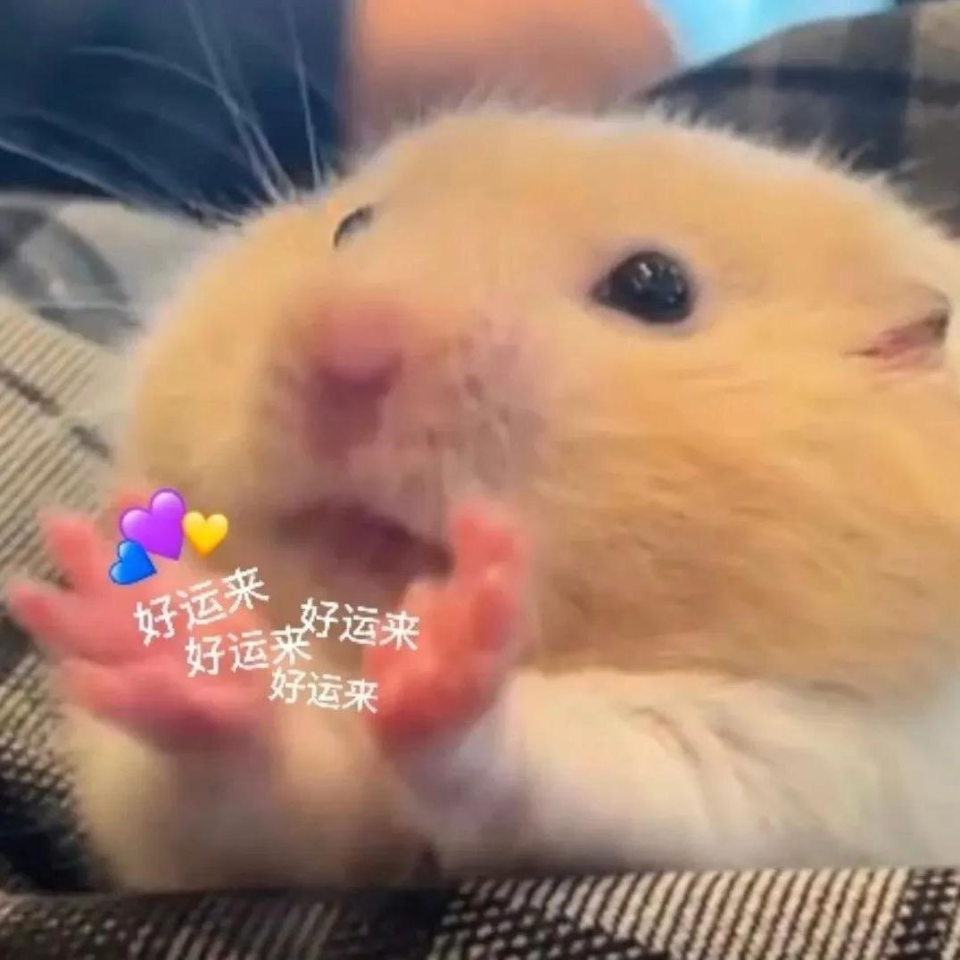 35岁离异男大最懂女人心